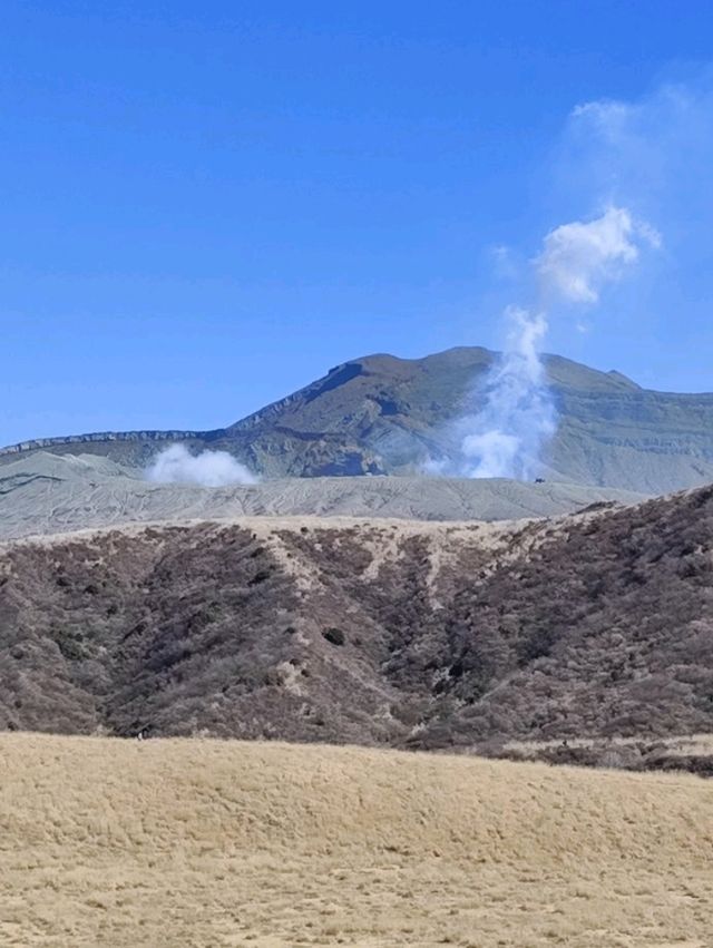 金黃草地的草千里之濱(阿蘇火山)