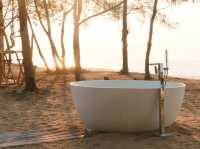 Mollusc Glamping ที่พักติดทะเล