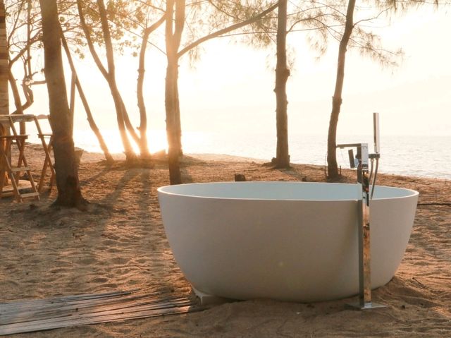 Mollusc Glamping ที่พักติดทะเล