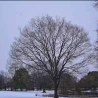 文來公園：冰雪童話世界 ❄️🏞️