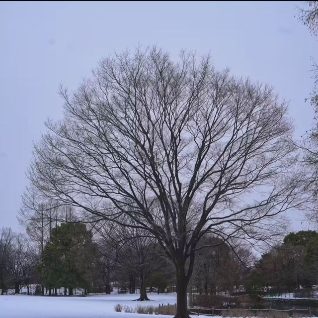 文來公園：冰雪童話世界 ❄️🏞️