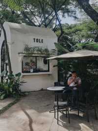 DE PARK X TOLE