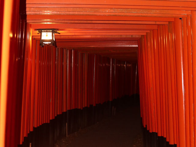 Fushimi Inari at Night: A Mystical Hike Through Kyoto’s Iconic Torii Gates