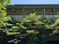 A Tranquil Stroll Through History: Tsurugaoka Hachimangu in Kamakura