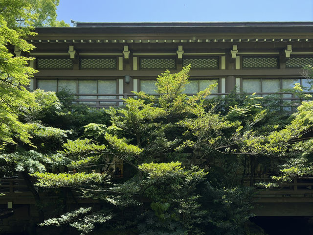 A Tranquil Stroll Through History: Tsurugaoka Hachimangu in Kamakura