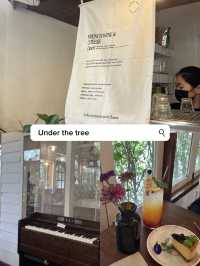 มัดรวมคาเฟ่ อุดรธานี