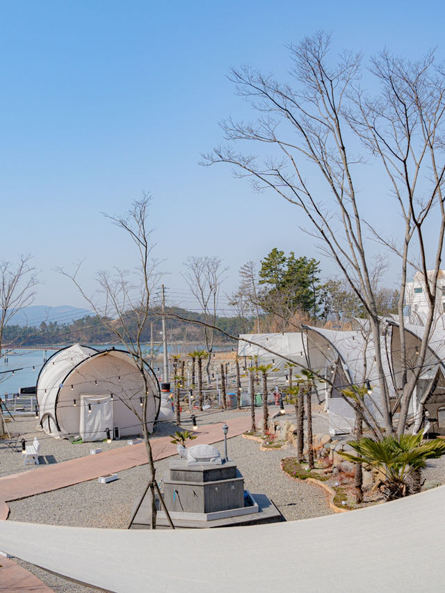 불멍을 즐길 수 있는 감성 글램핑장✨ 수영장도 있어요