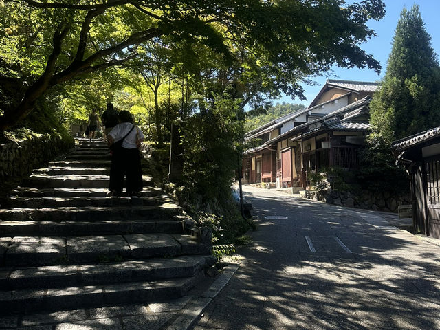 A Hidden Gem of Kyoto: Exploring Adashino Nenbutsuji Temple