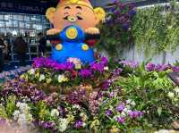 台南後壁-亞太蘭花會議暨台灣國際蘭展 Orchid Show 
