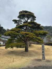 鹿兒島仙巖園遊記 - 微雨下遠觀櫻島