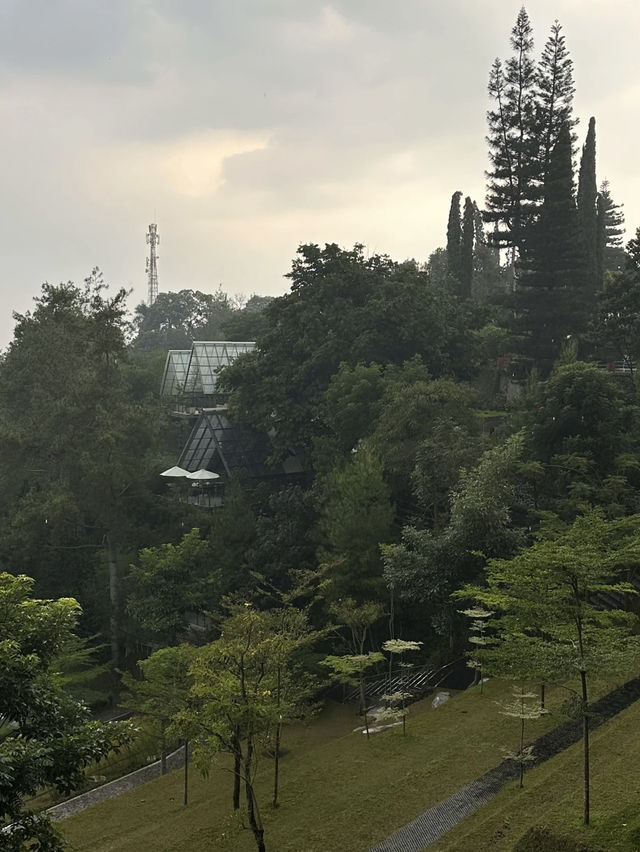A Modern Oasis at The Gaia Hotel Bandung