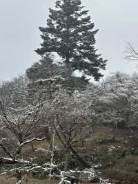 Nara: Japan’s Ancient Capital of Temples, Deer, and Timeless Beauty