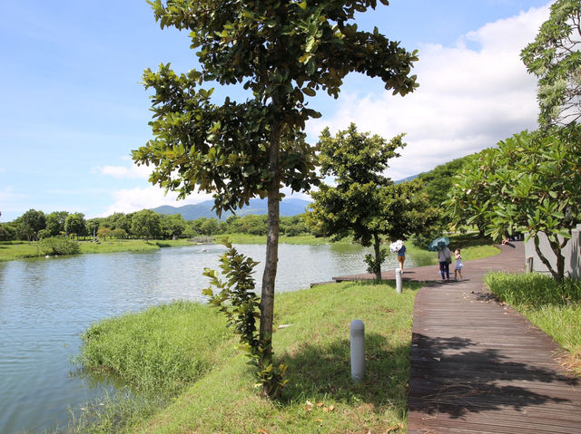 探索台東大學 綠建築之美 🤩🌿知識與自然的完美結合