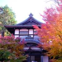 Kyoto - Eikando đừng nên bỏ qua