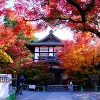 Kyoto - Eikando đừng nên bỏ qua