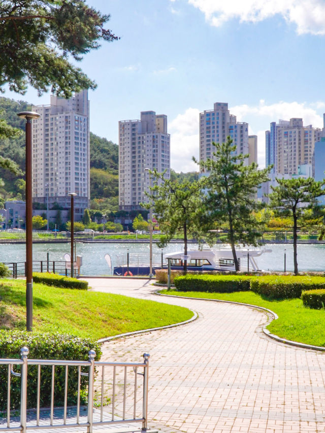 부산의 수영강변과 바다가 만나는 APEC 나루공원🌿