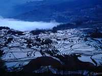 【中国】世界遺産元陽棚田！圧巻の5000段の棚田