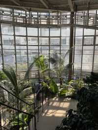 【東京】渋谷にある日本一小さな植物園🪴