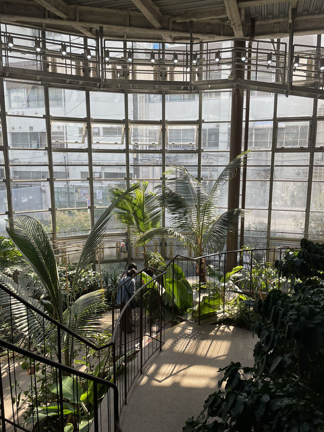 【東京】渋谷にある日本一小さな植物園🪴