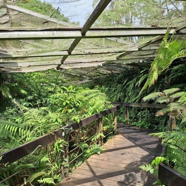 台北｜士林官邸正館，走進歷史的時光隧道 