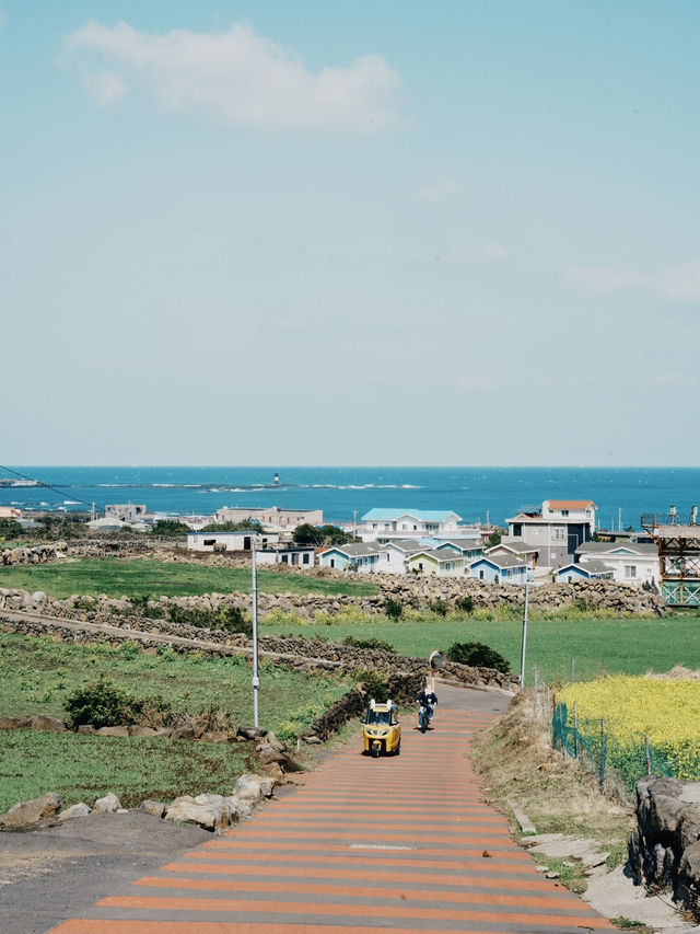 濟州旅行 牛島最可愛打卡點分享 隨便拍都像畫！