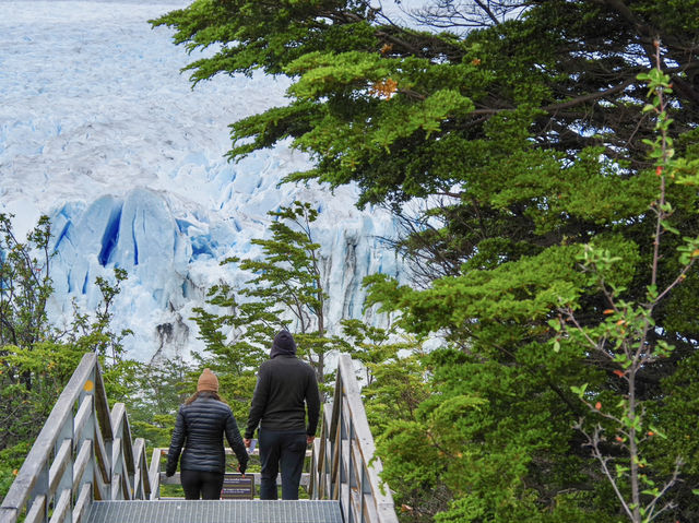 【アルゼンチン・パタゴニア地区】間近に楽しむ迫力の大氷河🧊