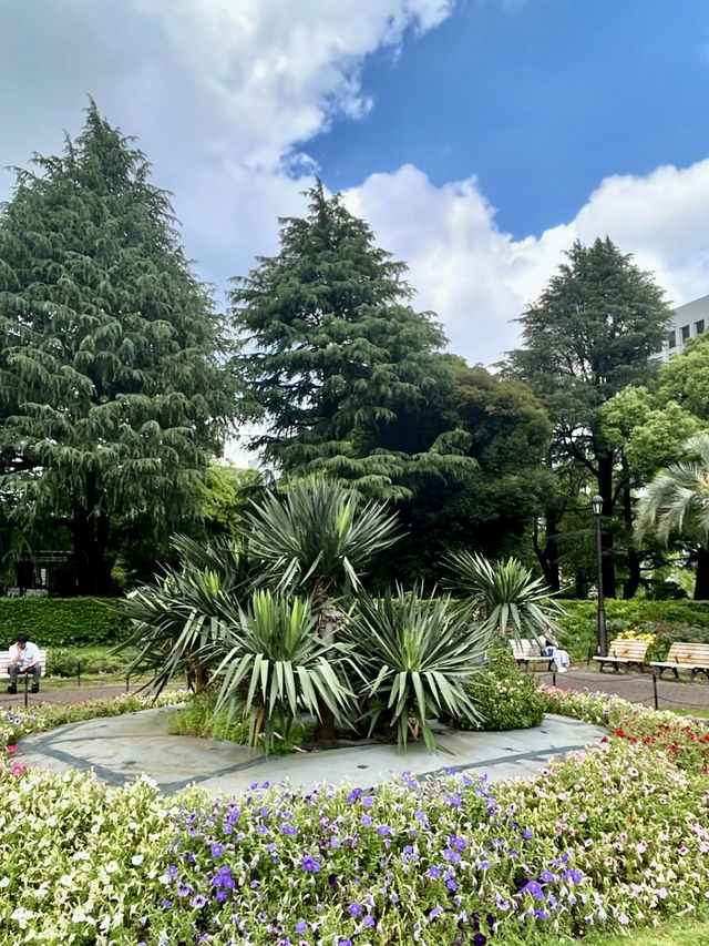 Spring Stroll in Hibiya Park🌼