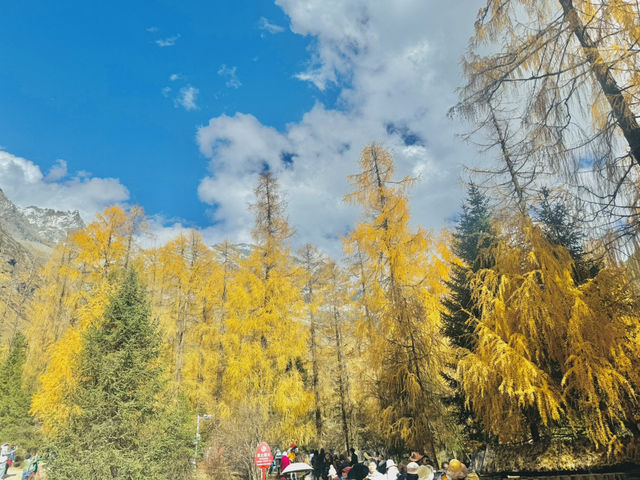  ภูเขา 4 ดรุณี (Siguniangshan, 四姑娘山) 🇨🇳