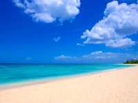 Enjoy your time @ Brighton Beaches: A day full of joy and happiness!