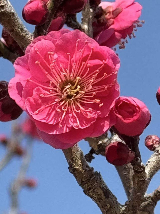 四國