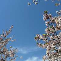  吉原兒童公園~色彩斑斕的童年