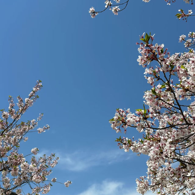  吉原兒童公園~色彩斑斕的童年