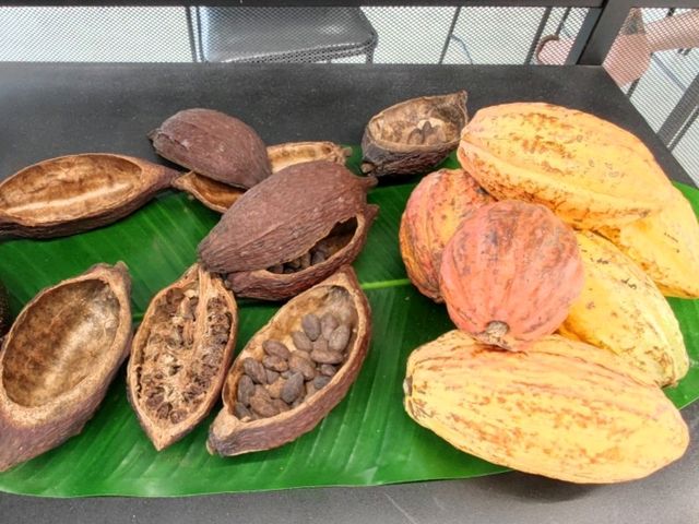 濃、純、 香的75°可可飲#CACAO FARM FORMOSA 福爾摩沙可可農場
