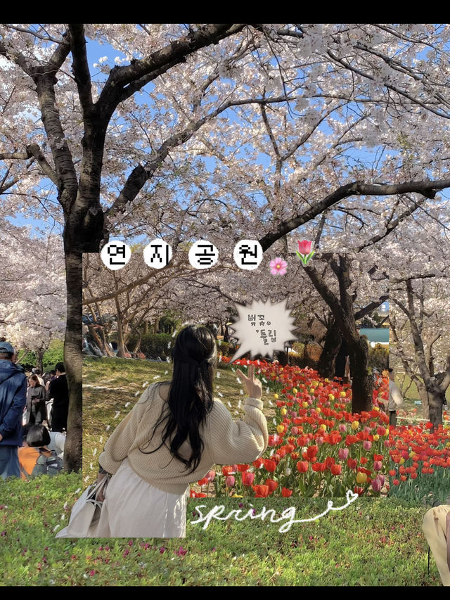 김해연지공원 다녀왔습니다🎶