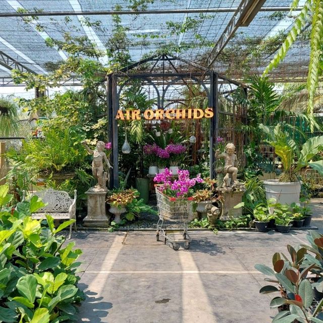 💐✨️The Flask Cafe by Air Orchids🍂🌸