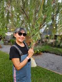 ร้าน WHITE CACTUS