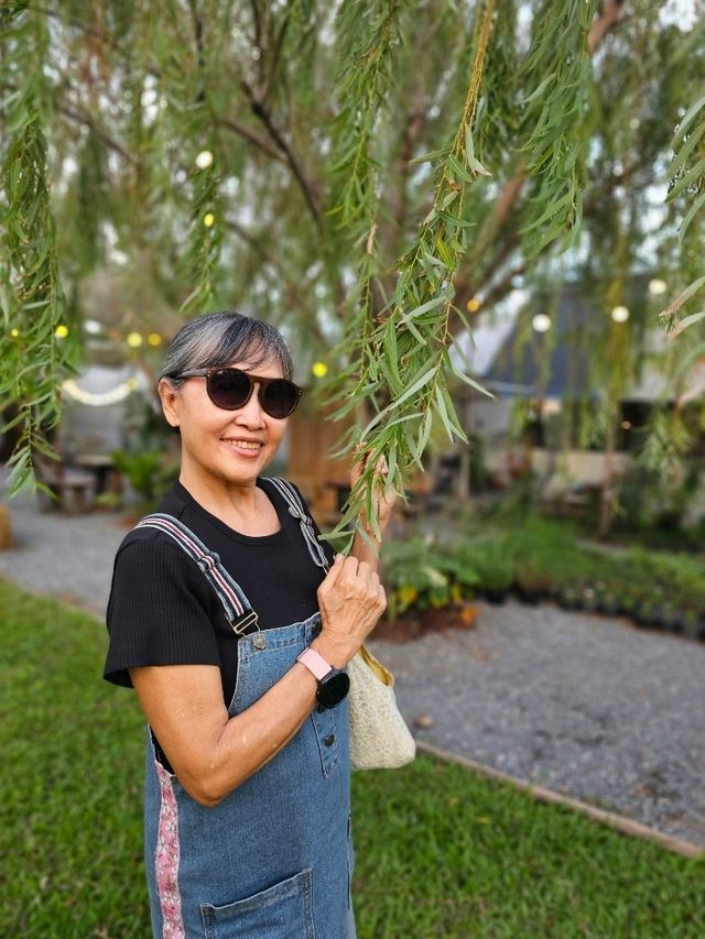 ร้าน WHITE CACTUS
