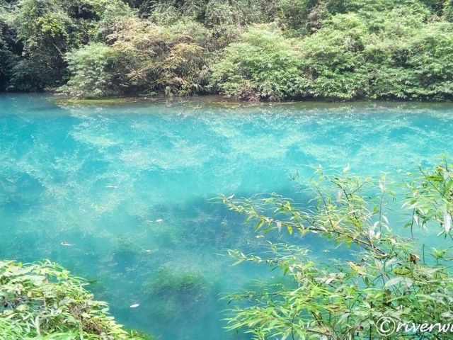 【中国】まるで精霊の住処！「張家界大峡谷」