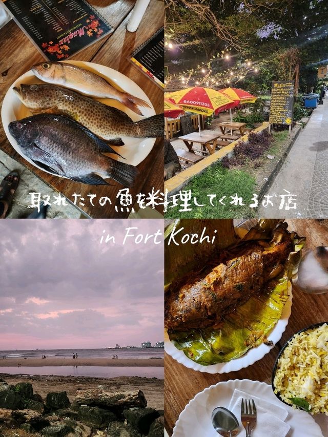 【コチ/インド】取れたての魚を料理してくれるお店🐟️