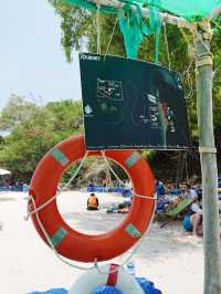 ⛱  ดำน้ำดูปลา เกาะแสมสาร