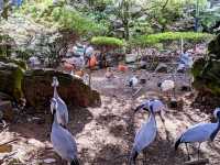 【伊豆】伊豆シャボテン動物公園で動物とサボテンと触れ合う