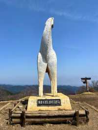 【陣馬山】日帰り登山にオススメな陣馬山⛰️