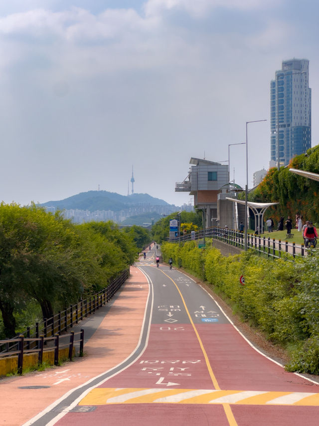 여름의 시작을 알리는 주황빛 능소화🧡🌿