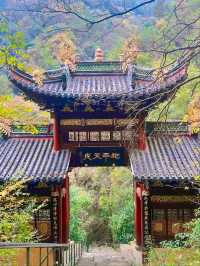 Hongfo Temple: A Sanctuary for Serenity and Scenic Trails