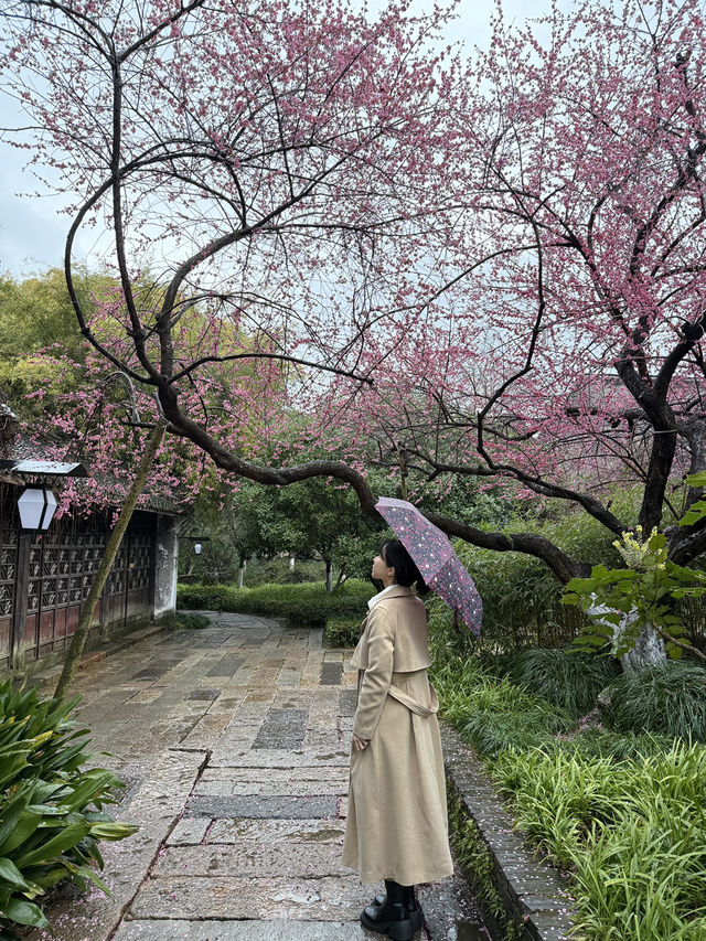 상하이 근교 우전 수향마을! 고즈넉하고 옛느낌이 좋아요 