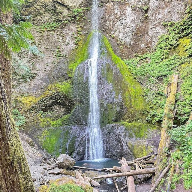 Olympic National Park, Washington – Wilderness in Every Direction