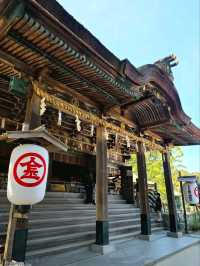 洗滌身心之旅-挑戰最難參拜的神社-金刀比羅宮