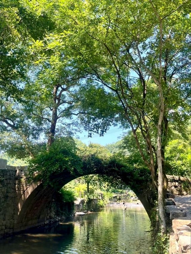 Lu Village Reservoir: Where Jiangnan Captures the Heart