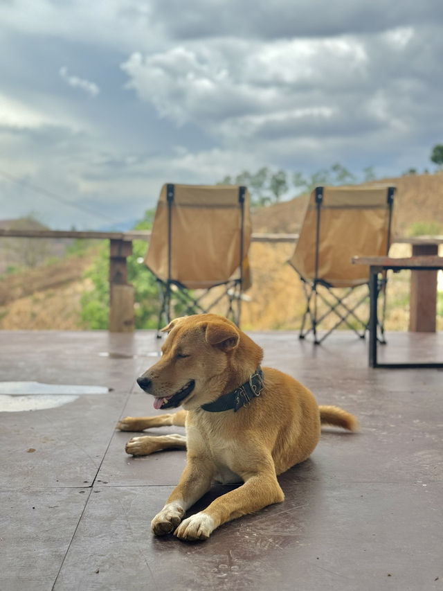 ไร่ลุงลอน จ.แพร่ 🏡⛰️🌤️🐶