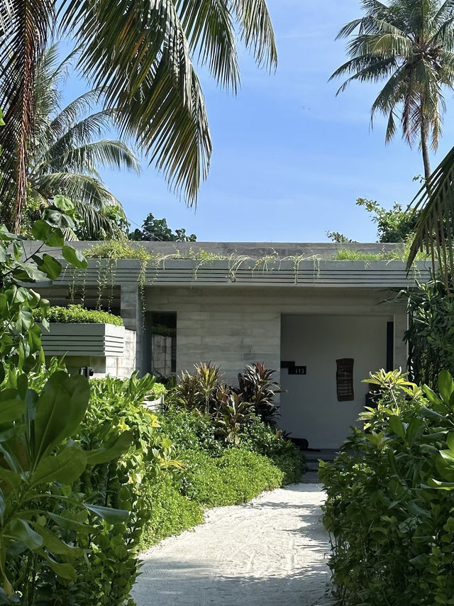Serene, Soulful Luxury at Alila Kothaifaru Maldives 